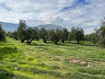 Venta / Parcela / Santa María