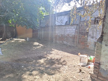 Imagen 6