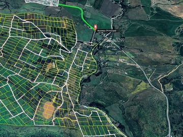 Imagen 8