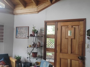 Imagen 8