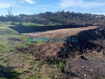 Imagen 7
