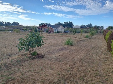 Venta / Parcela / Santo Domingo