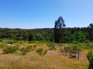 Venta / Parcela / Santo Domingo