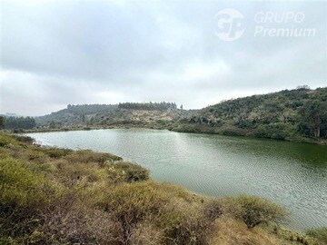 Imagen 15