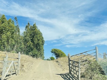 Imagen 11