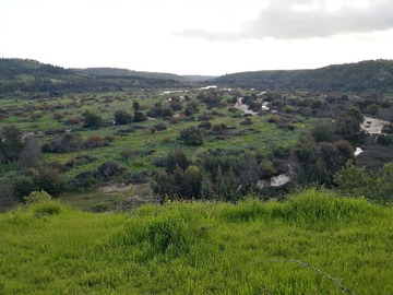 Imagen 11