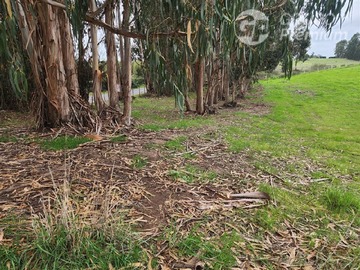 Venta / Parcela / Santo Domingo