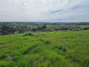 Venta / Parcela / Santo Domingo