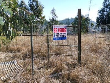Imagen 12