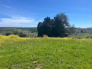 Venta / Parcela / Santo Domingo