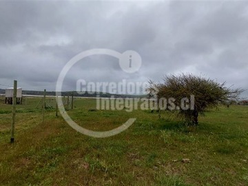 Imagen 5