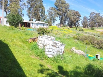 Venta / Parcela / Santo Domingo