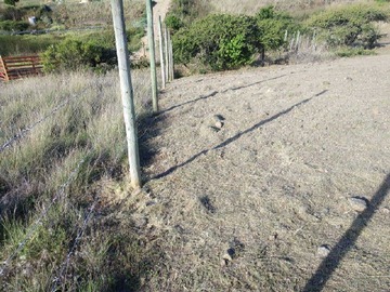 Imagen 6