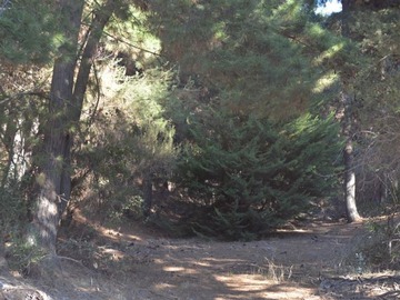 Imagen 6