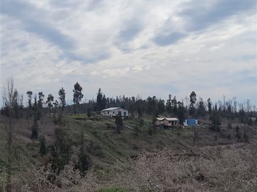 Imagen 9