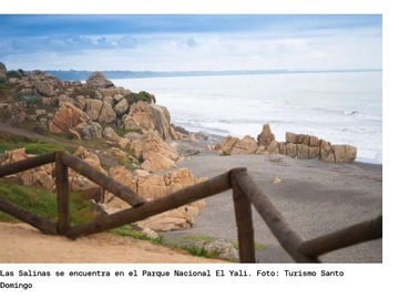 Imagen 4