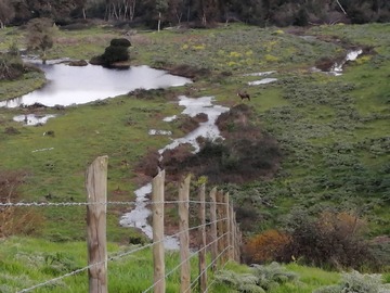 Venta / Parcela / Santo Domingo