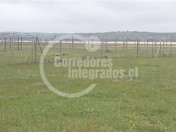 Imagen 21