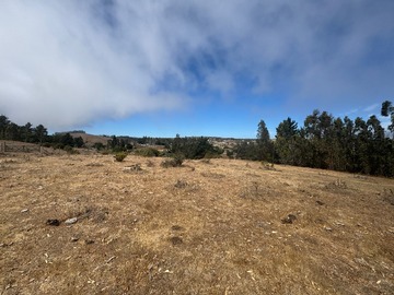 Venta / Parcela / Santo Domingo