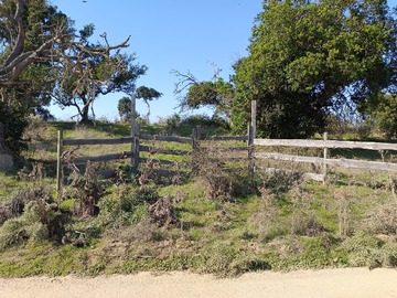Venta / Parcela / Santo Domingo