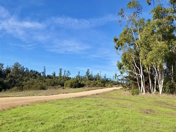 Venta / Parcela / Santo Domingo