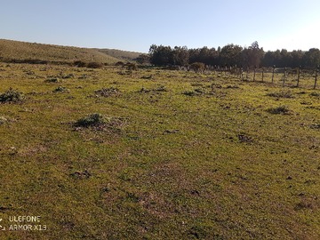 Imagen 9