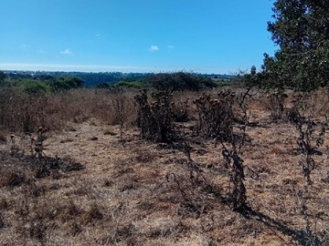 Venta / Parcela / Santo Domingo