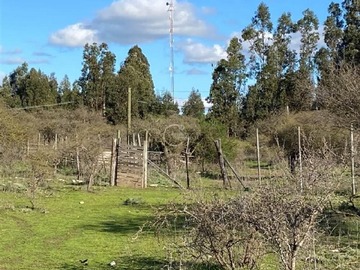 Imagen 6