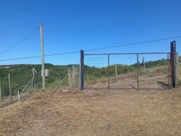 Imagen 7
