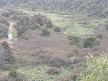 Venta / Parcela / Santo Domingo