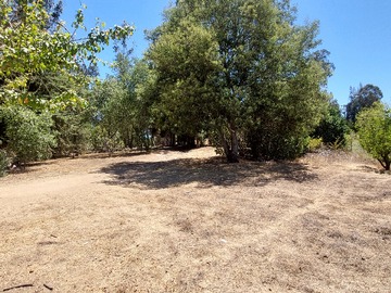 Venta / Parcela / Santo Domingo