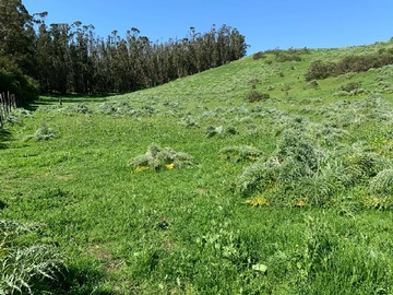 Venta / Parcela / Santo Domingo