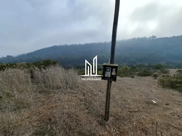Imagen 19
