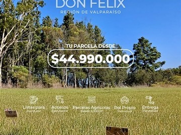 Imagen 11