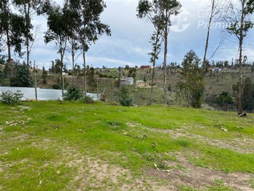 Imagen 8