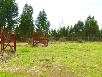 Imagen 11