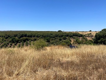 Venta / Parcela / Santo Domingo