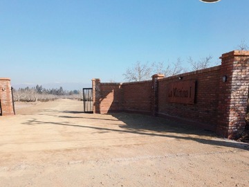 Imagen 4