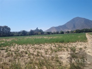 Imagen 8