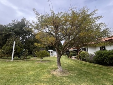 Imagen 26