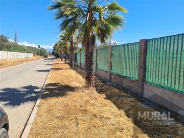 Venta / Parcela / Talagante