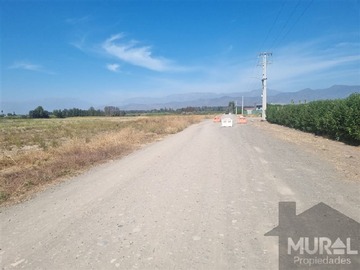 Imagen 14