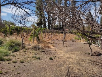 Imagen 6