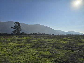 Venta / Parcela / Talagante
