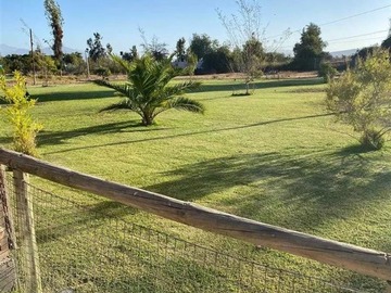 Venta / Parcela / Talagante