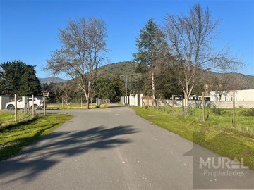 Imagen 8