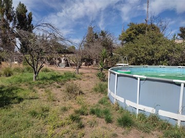 Imagen 7