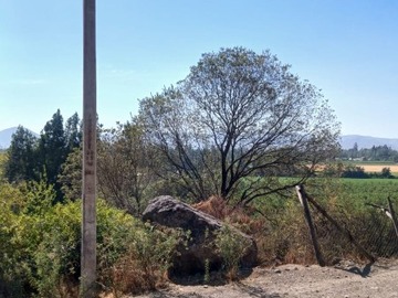 Venta / Parcela / Talagante