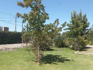 Imagen 20