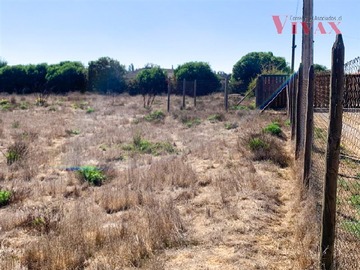 Imagen 5